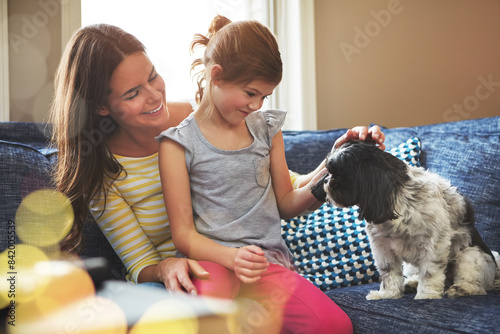 Mom, girl and dog on sofa with smile for relationship trust and support for animal care in home. Happy child, woman and maltese on lounge couch for love connection and bonding together with scratch photo