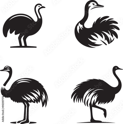 Ostrich silhouette vector illustration