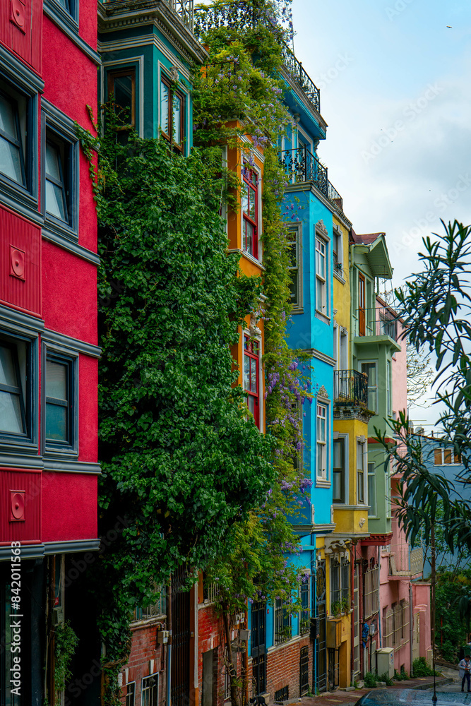 Fototapeta premium Istanbul, Turkey - 23.04.2024: Row of Colorful Houses in Istanbul's Balat District