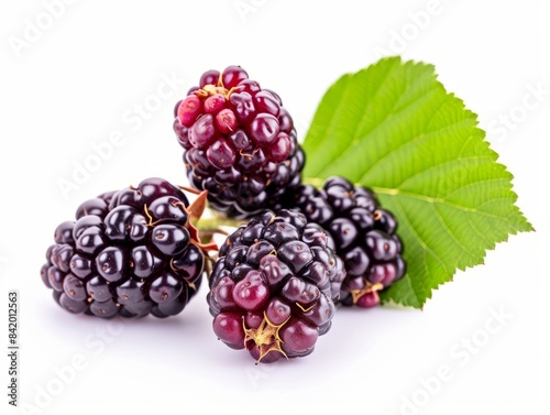 Bunch of mulberries with gr...