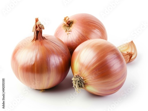 Wallpaper Mural Onions on a white background. Torontodigital.ca