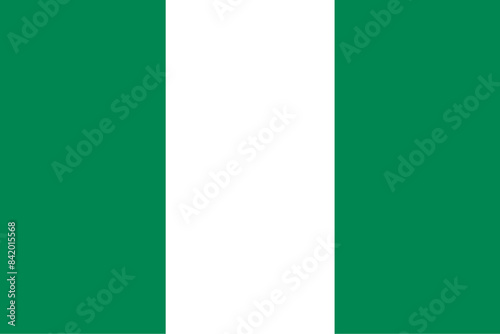 nigeria flag - vector illustration