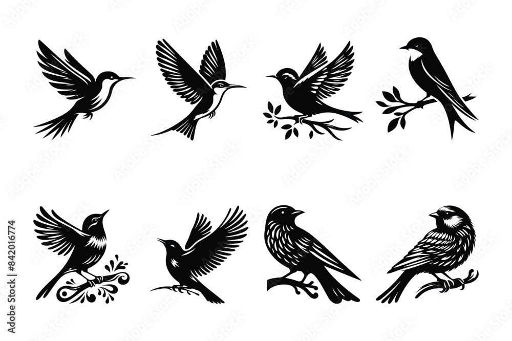 Obraz premium Bird Vector Silhouette Illustration