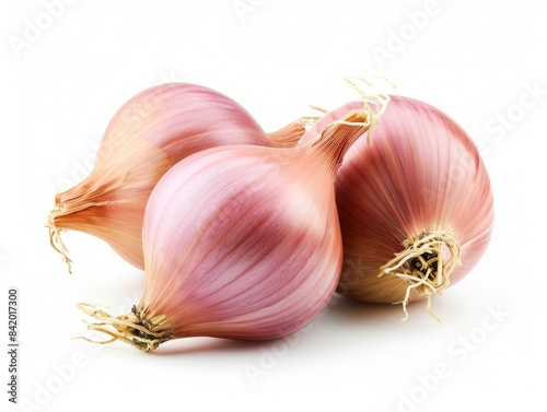 Wallpaper Mural Shallot onions on a white background. Torontodigital.ca