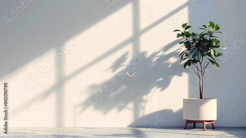 Obraz na płótnie House plant on blank wall background, aesthetic banner with copy space text, wall mock up, template w salonie