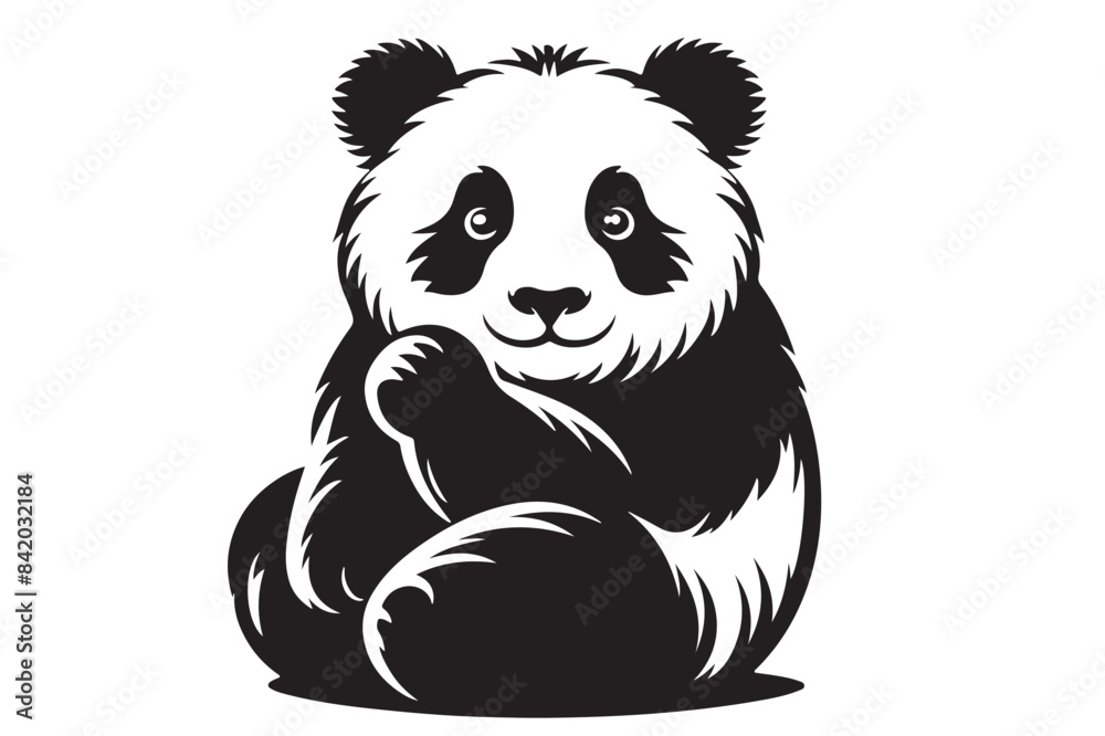 Panda photo Panda photo