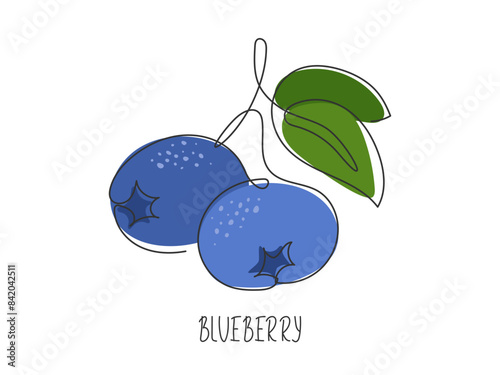 Continuous line drawn blueberry. Branch of fresh ripe berry. Abstract natural fruit. Healthy vitamin food ingredient. Summer illustration