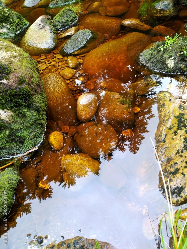Obraz premium waterfall in the forest