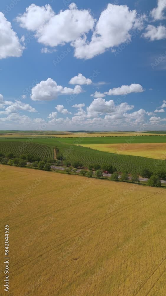 Pristine aerial view capturing the green and golden layers of agricultural fields under a vibrant blue sky. Pristine aerial view capturing the green and golden layers of agricultural fields under a vibrant blue sky.