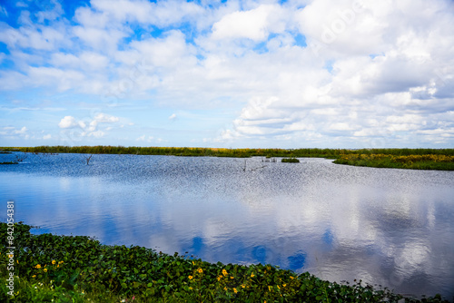 landscape with lake