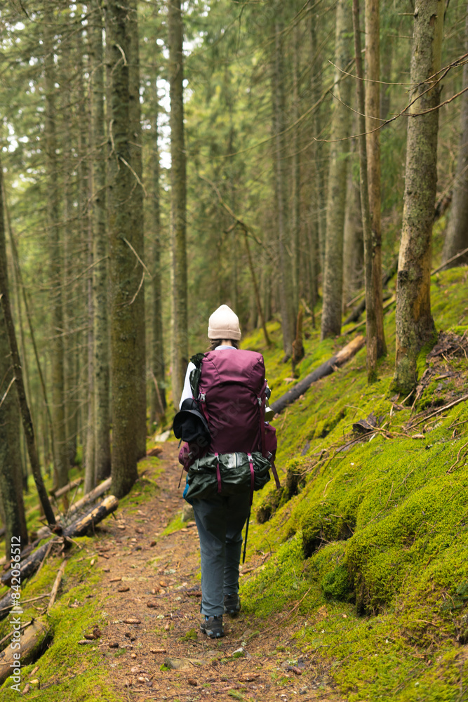 a woman with a big backpack on a hike in the mountains, on the background of a foggy forest, tourism, trekking, a route, a path in the forest, active recreation, nature, adventure, the Carpathians a woman with a big backpack on a hike in the mountains, on the background of a foggy forest, tourism, trekking, a route, a path in the forest, active recreation, nature, adventure, the Carpathians