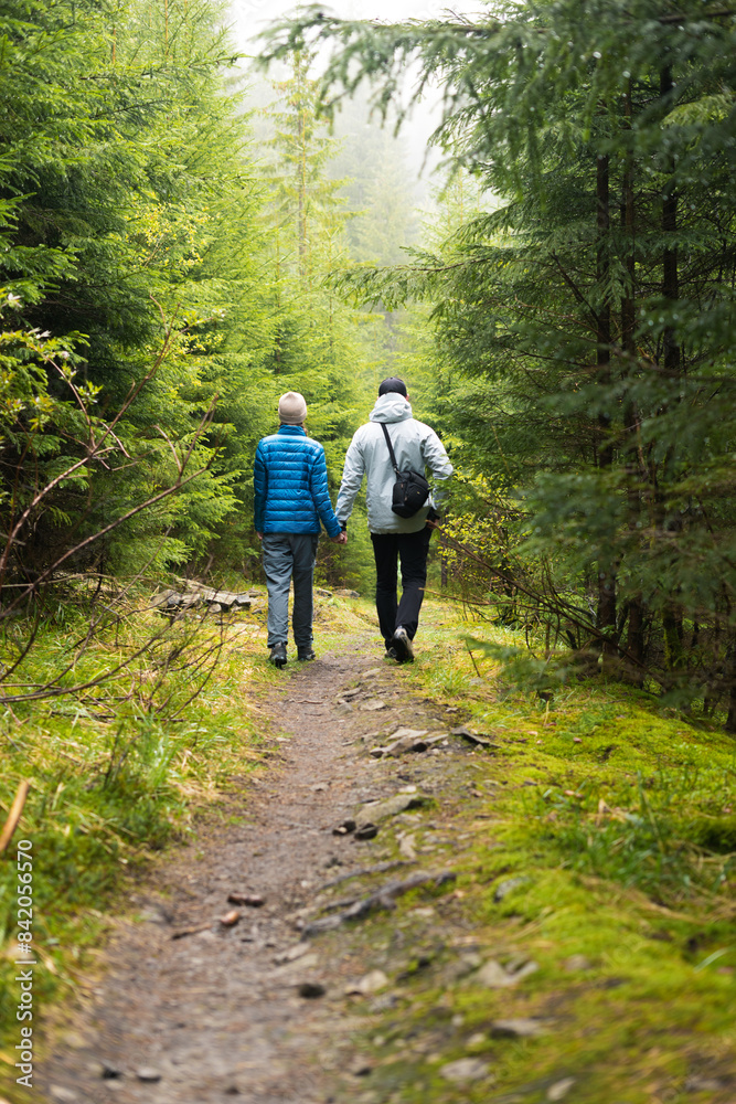 two people walking down a dirt road in the woods forest, tourism, trekking, a route, a path in the forest, active recreation, nature, adventure, the Carpathians two people walking down a dirt road in the woods forest, tourism, trekking, a route, a path in the forest, active recreation, nature, adventure, the Carpathians