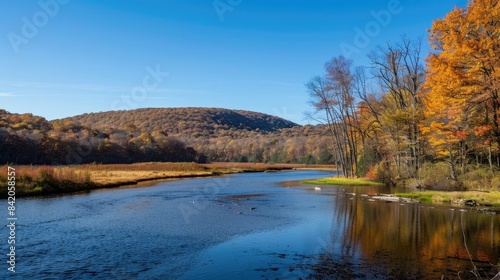 Valley landscape featuring forests and river with hill on right in autumn under clear blue sky