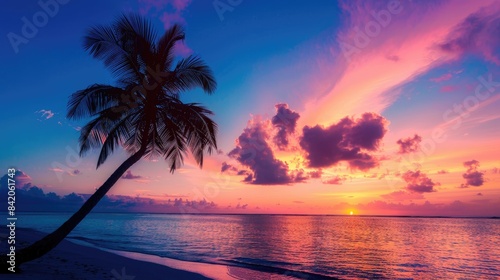 Enhanced Color Processing of Sunset over Beach with Elegant Palm Tree Silhouette