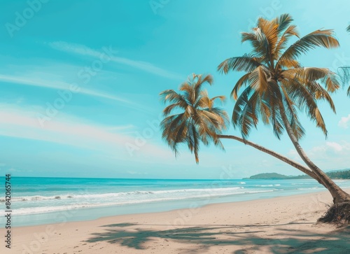 Beautiful summer beach with palm trees and a blue sky background, a nature landscape banner for vacation or travel concept. © DWN Media
