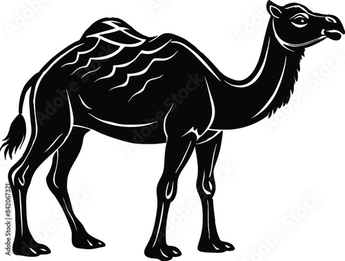 camel cartoon isolated