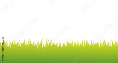 Green Grass Lawn Meadow Growing Background illustration photo