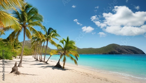palm beach in tropical paradise guadalupe island caribbean