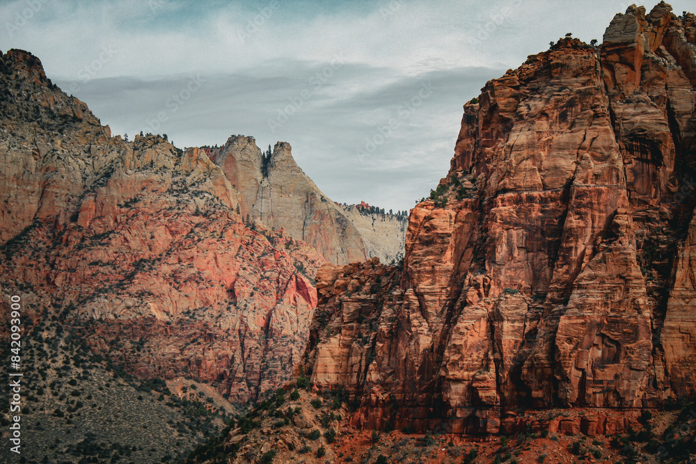 Fototapeta premium Zion National Park, Utah, United States, North America