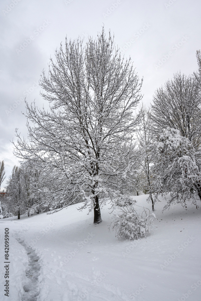 Winter Landscape of South Park in city of Sofia, Bulgaria Winter Landscape of South Park in city of Sofia, Bulgaria