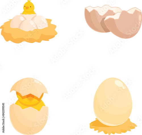 Set of cartoonstyle vector icons depicting various stages of a chicken's life cycle from egg to hatching