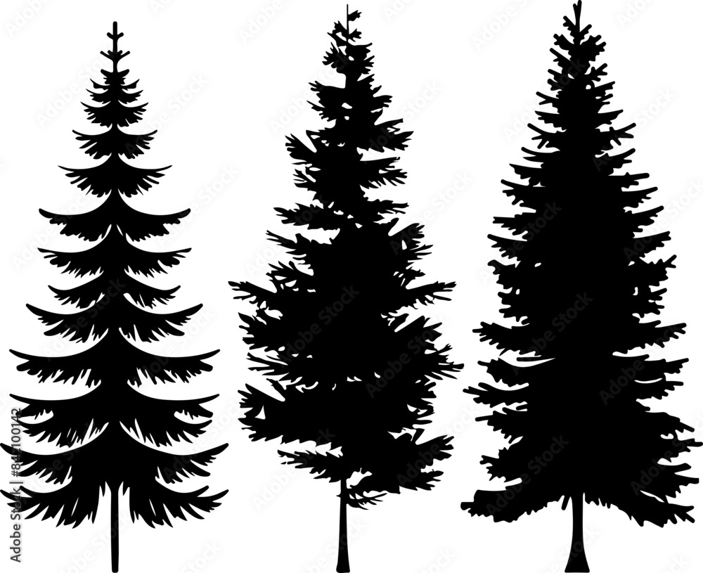 Fototapeta premium Silhouettes of Pine Trees: Nature's Tranquility and Unity in Black and White
