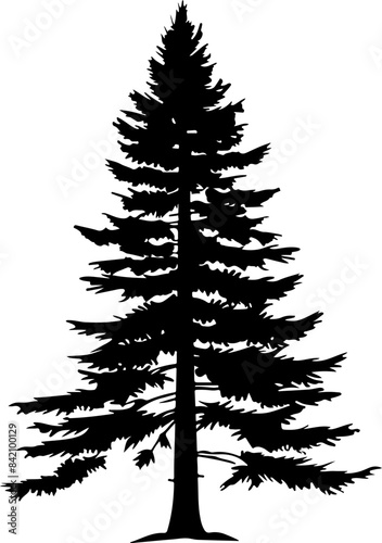Silhouette of Pine Tree - Nature and Simplicity