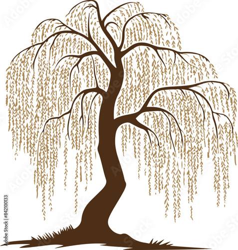 Silhouette of Weeping Willow Tree Representing Serenity and Calm