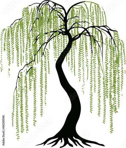 Digital Illustration of a Weeping Willow Tree Symbolizing Nature and Serenity