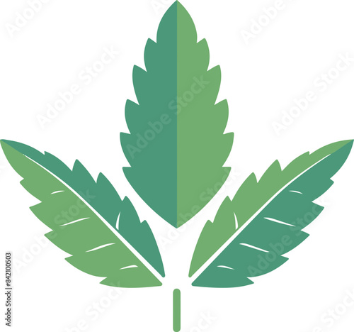 Minimalist Vector Green Cannabis Leaf Graphic Representing Growth and Nature