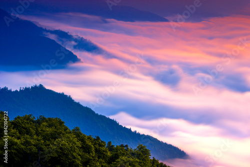 panoramic summer foggy scenery, scenic sunrise morning view in Carpathian mountains, Ukraine, Europe