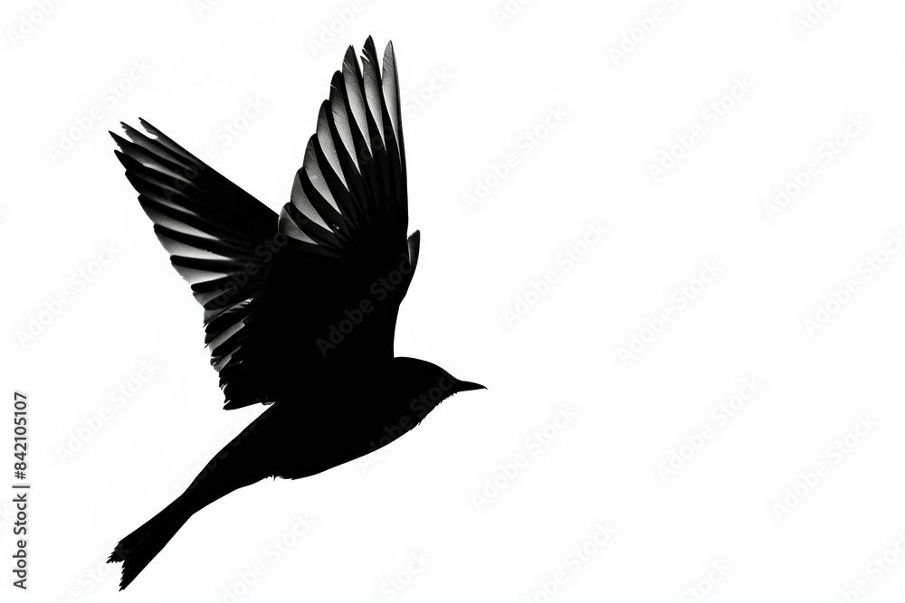 The silhouette of a bird soaring in the sky against white background The silhouette of a bird soaring in the sky against white background