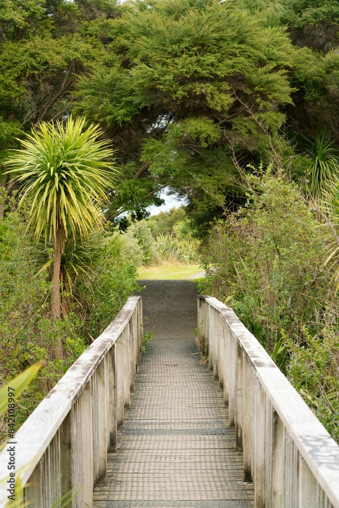 Wooden Bridge Amidst Lush Foliage Wooden Bridge Amidst Lush Foliage