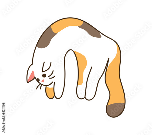 Stretchy Cat hangs his paws isolated. Lifted up domestic helpless relaxed kitten. Tricolor spotted Character with muzzle for sticker. Kawaii animal with whiskers. Doodle. Color Vector illustration