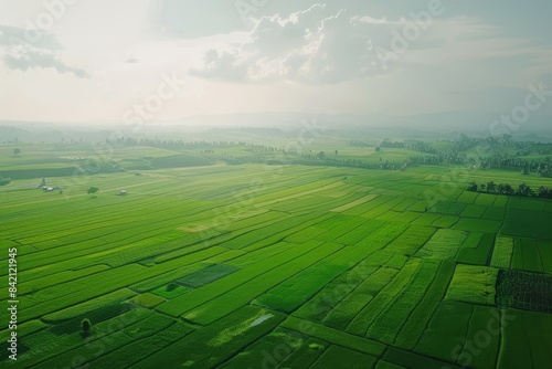 Agricultural Fields from a bird's eye view Generative AI © Roman