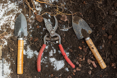 Tableau sur toile shovel, scissors and other tools planted in the soil of a garden together
