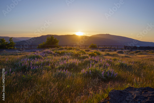 Rowena Crest Sunrise photo