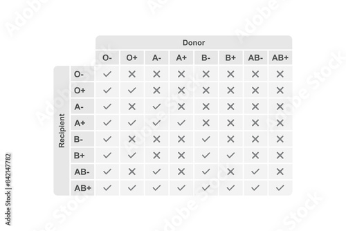 Blood Type Compatibility Scientific Design. Vector Illustration.