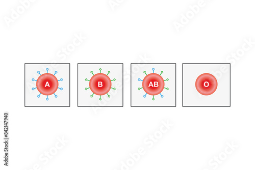 ABO Blood Group System Scientific Design. Vector Illustration.