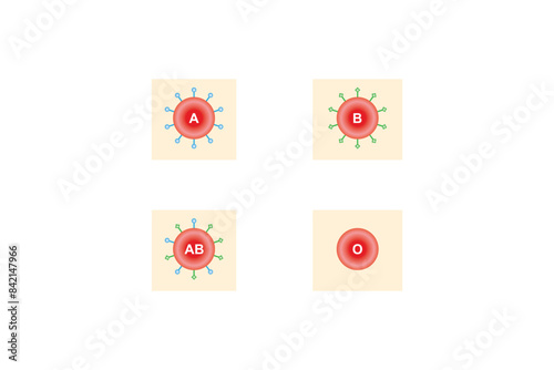 ABO Blood Group System Scientific Design. Vector Illustration.