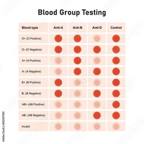 Blood Group Testing Scientific Design. Vector Illustration.