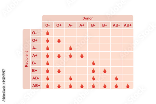 Blood Type Compatibility Scientific Design. Vector Illustration.