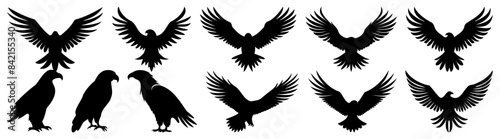 Eagle silhouette set vector design big pack of illustration and icon