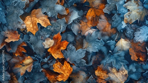 Frozen Autumn Leaves After Chilling in the Cold Texture