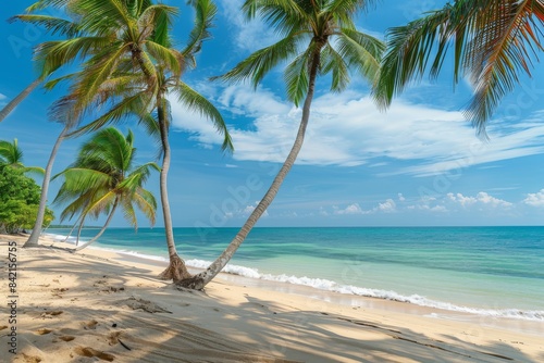 Beach with palm trees and sea on a clear day