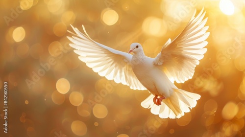 Copy space for text on sky funeral background with white dove © DZMITRY