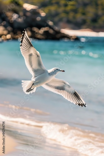 Seagull Soaring Over Beach Sand