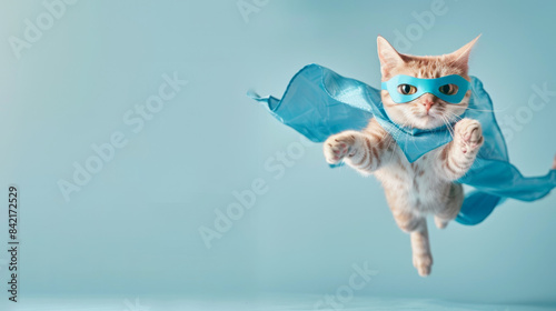 superhero cat with blue cloak and mask, flying in the air isolated on light pastel background with copy space concept of super model photo