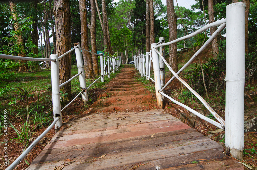 Wooden bridge and ground stairs to the hill in Khasiya Pine forest Wooden bridge and ground stairs to the hill in Khasiya Pine forest