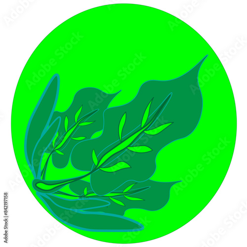 circulo verde com folhas, ilustração feita digitalmente com illustrator para enaltecer nossa natureza verde.